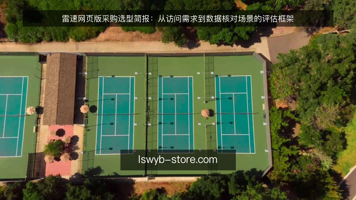 雷速网页版采购选型简报：从访问需求到数据核对场景的评估框架