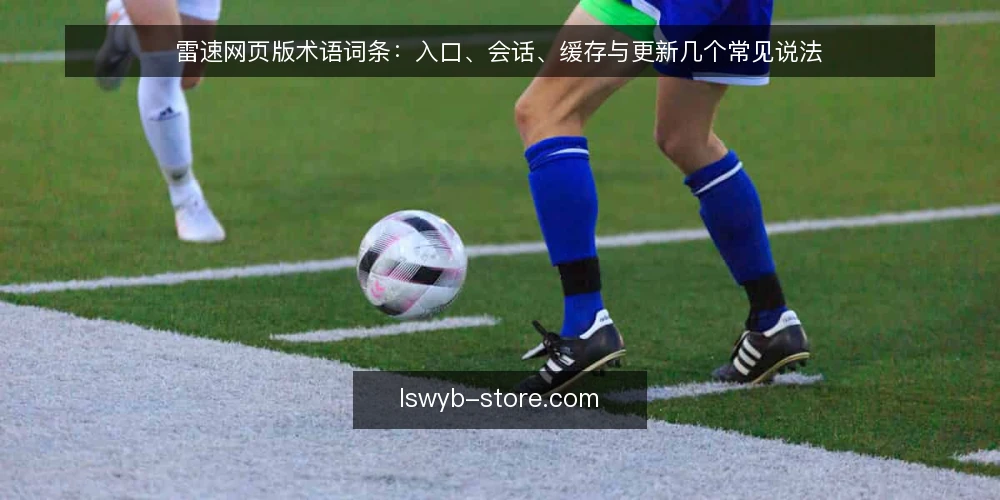雷速网页版术语词条：入口、会话、缓存与更新几个常见说法 — 先厘清几个高频术语 配图